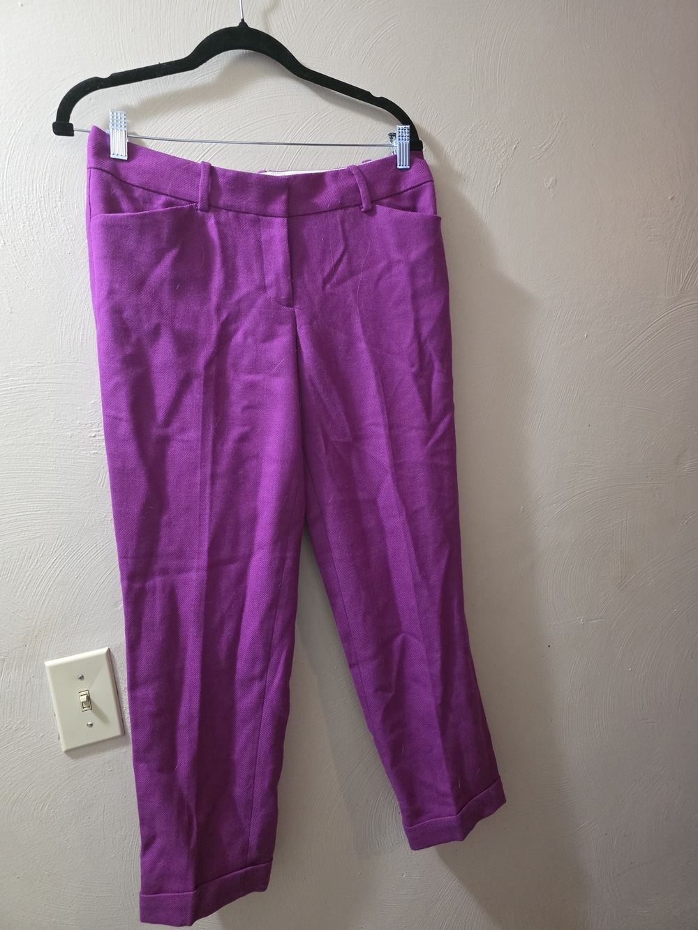 LOFT Cropped NWT Tailored Pants Size 4